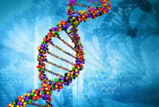 合成生物學(xué)時(shí)代的生物防御 美國新戰(zhàn)略下的軍事生物科技發(fā)展提速