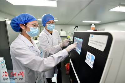 洛陽現代生物技術研究院 以創新研發護航畜禽產品安全，生物技術鑄就防控新防線